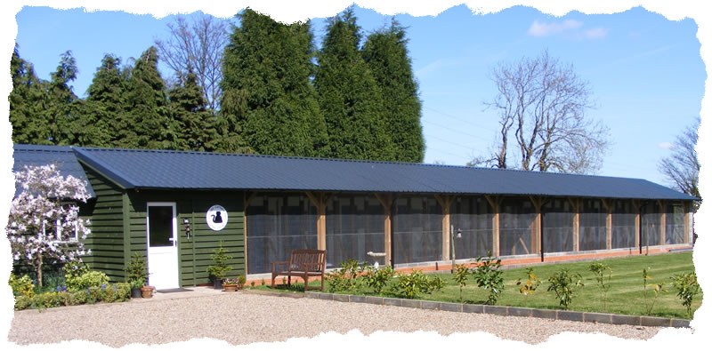 Catkins Cattery